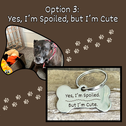 Deep Laser Engraved Pet Tag for Dog or Cat Personalized Pet Tags Custom Pet Tags