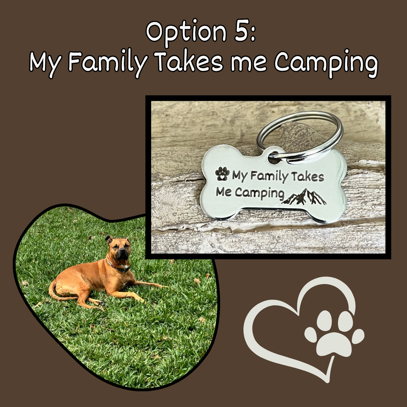 Deep Laser Engraved Pet Tag for Dog or Cat Personalized Pet Tags Custom Pet Tags