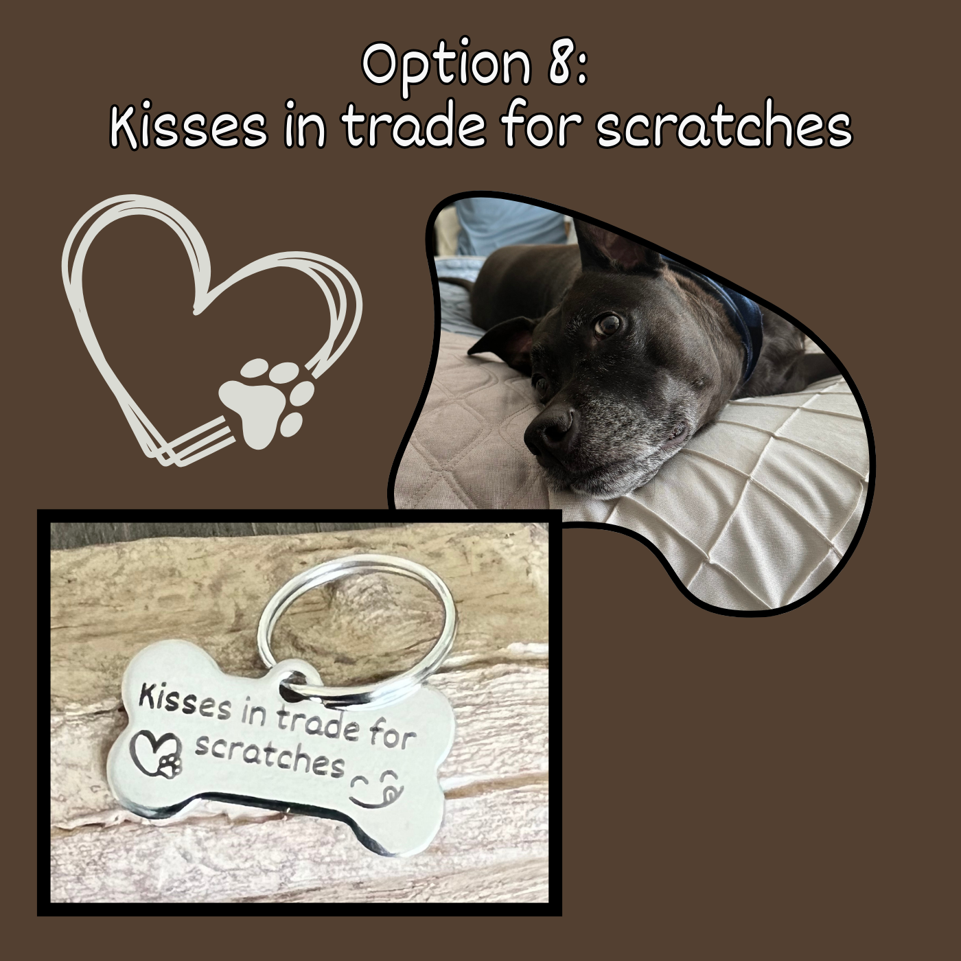 Deep Laser Engraved Pet Tag for Dog or Cat Personalized Pet Tags Custom Pet Tags